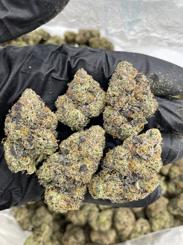 Forbidden Fruit - Barewoods