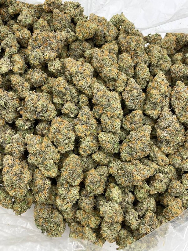 Blue Dream - Barewoods