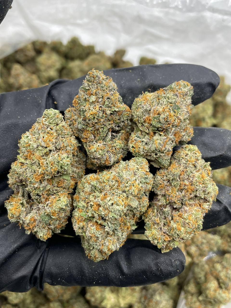 Purple Skittlez - Barewoods
