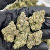 Purple Punch