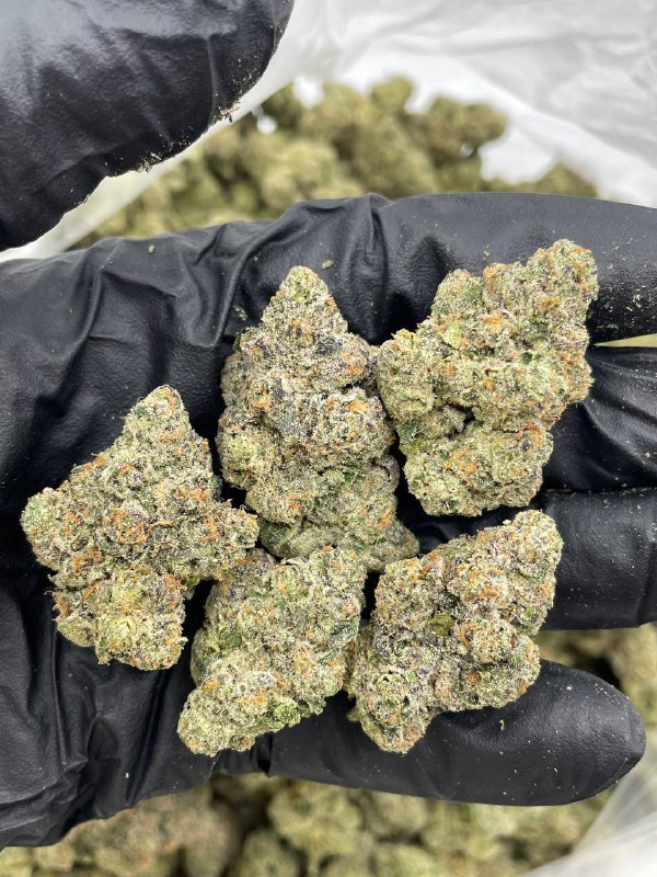 Purple Punch - Barewoods