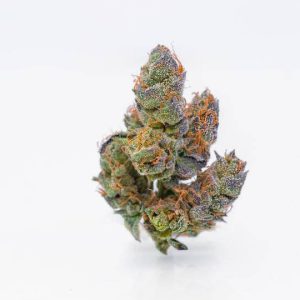 Asian Fantasy - Barewoods image 2