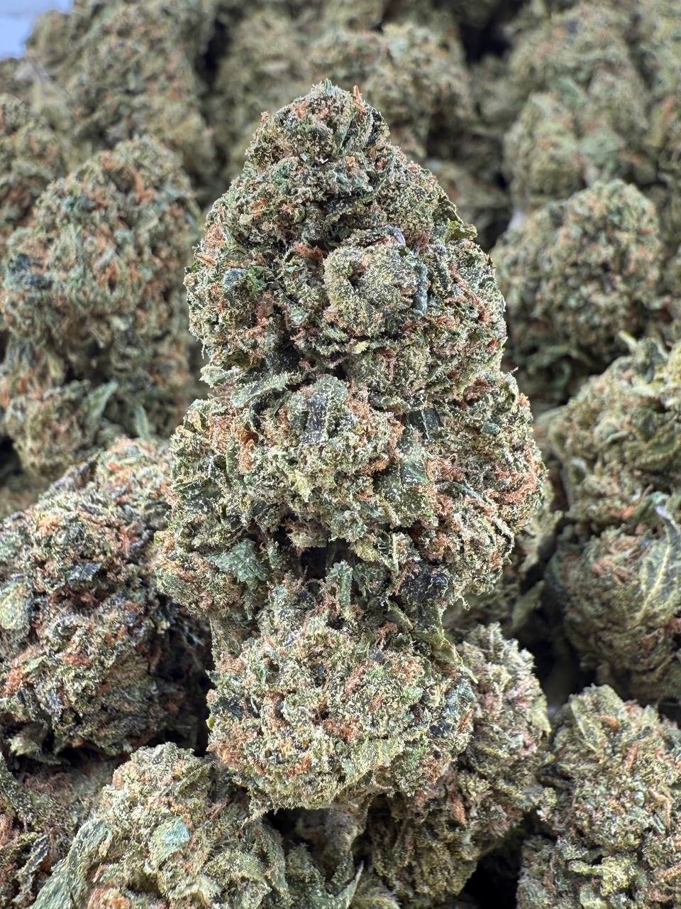 CANDY MARSHMALLOW - Barewoods