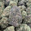 CAPTAIN CRUNCH