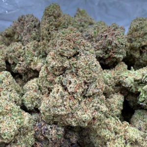 CHERRY LATTO - Barewoods
