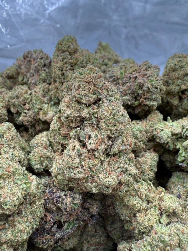 CHERRY LATTO - Barewoods