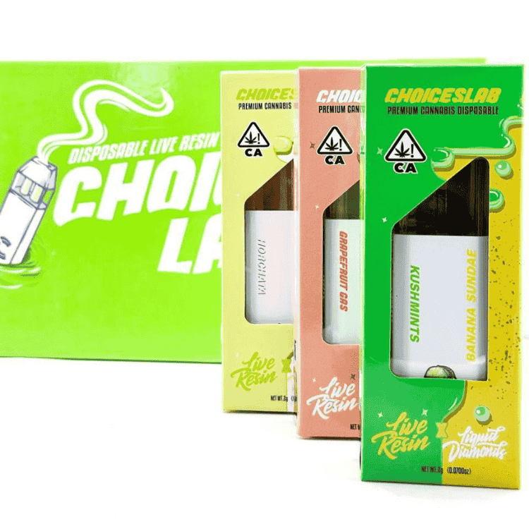 CHOICES 2G DISPOSABLE VAPE - Barewoods