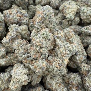 COCO CHANNEL - Barewoods