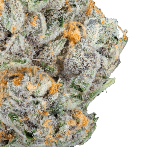 Alien ET- THCa Flower - Barewoods image 2