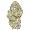 Apple Fritter – THCa Flower