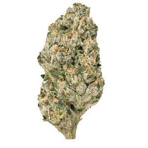 Bulk MixLight Flower - Barewoods