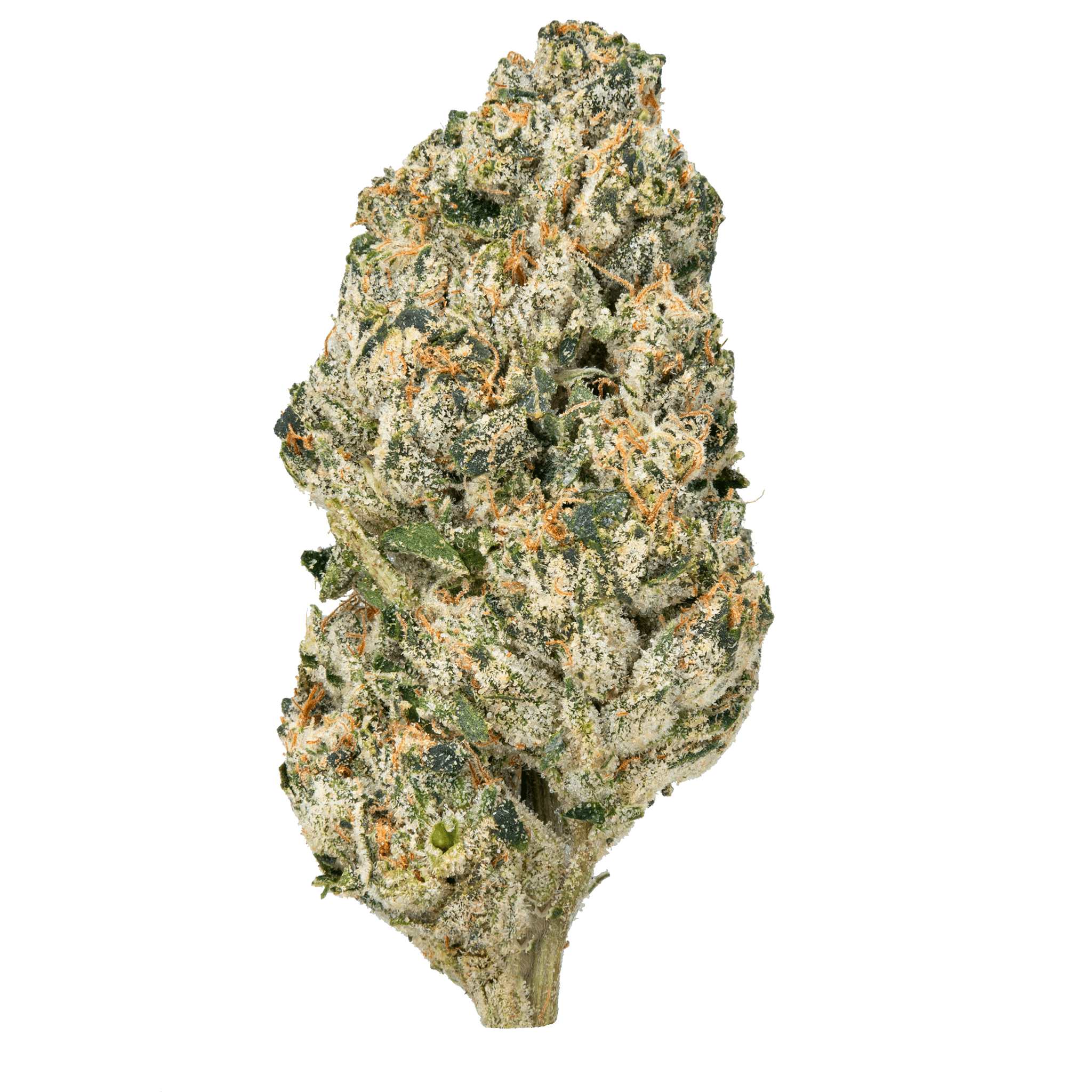 Bulk MixLight Flower - Barewoods