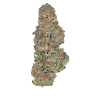 Bulk Greenhouse Flower
