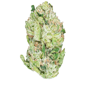 Blue Dream – THCa Flower - Barewoods