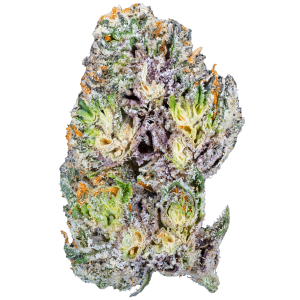 Blue Cherry Gelato– THCa Flower - Barewoods image 4