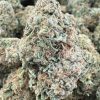 FRUIT LOOP KUSH