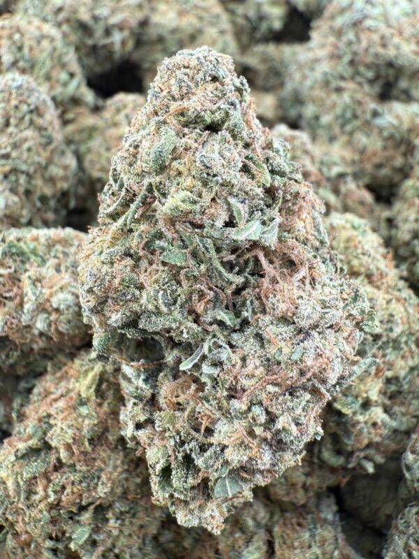 FRUIT LOOP KUSH - Barewoods