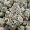 GASSY BUBBLEGUM
