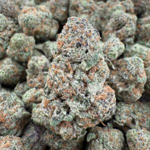 GASSY BUBBLEGUM - Barewoods