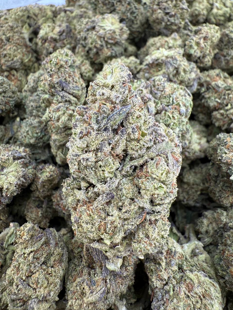 GIRL SCOUT COOKIES - Barewoods