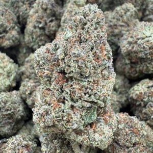 GUMMY BEAR - Barewoods