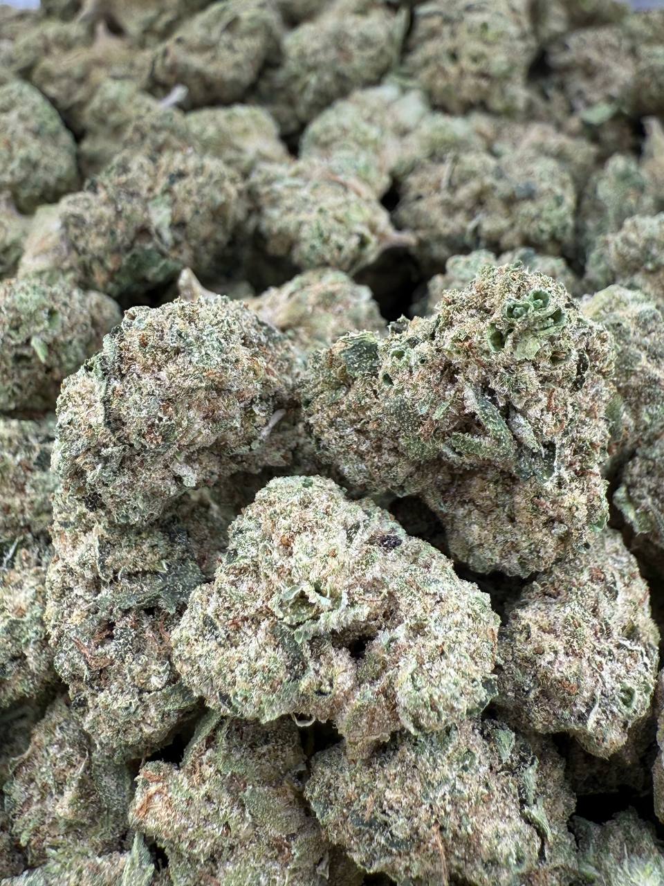 ICE POP SMALLS - Barewoods