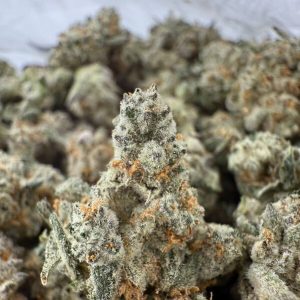 PIÑA COLADA BLISS SMALLS - Barewoods