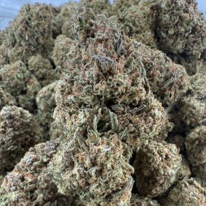 PRICKLY PUNCH - Barewoods