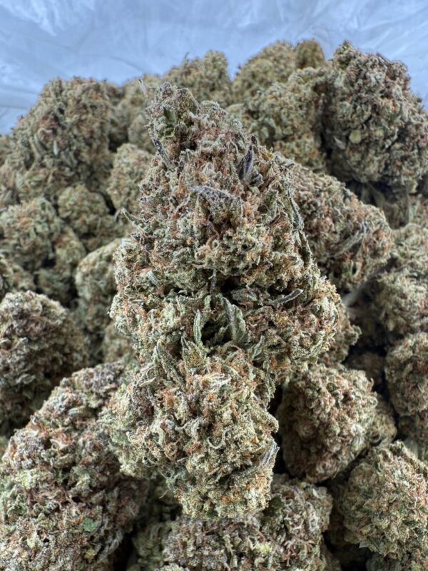 PRICKLY PUNCH - Barewoods
