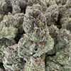 PURPLE PUNCH