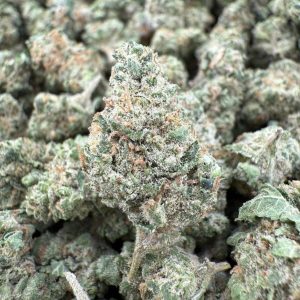 RAINBOW SLURRICANE SMALLS - Barewoods