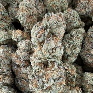 SHERBLATTO - Barewoods