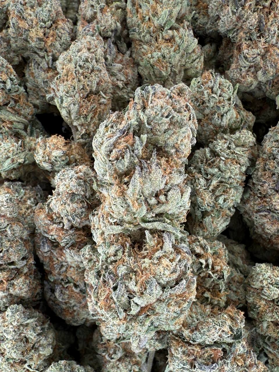 SHERBLATTO - Barewoods