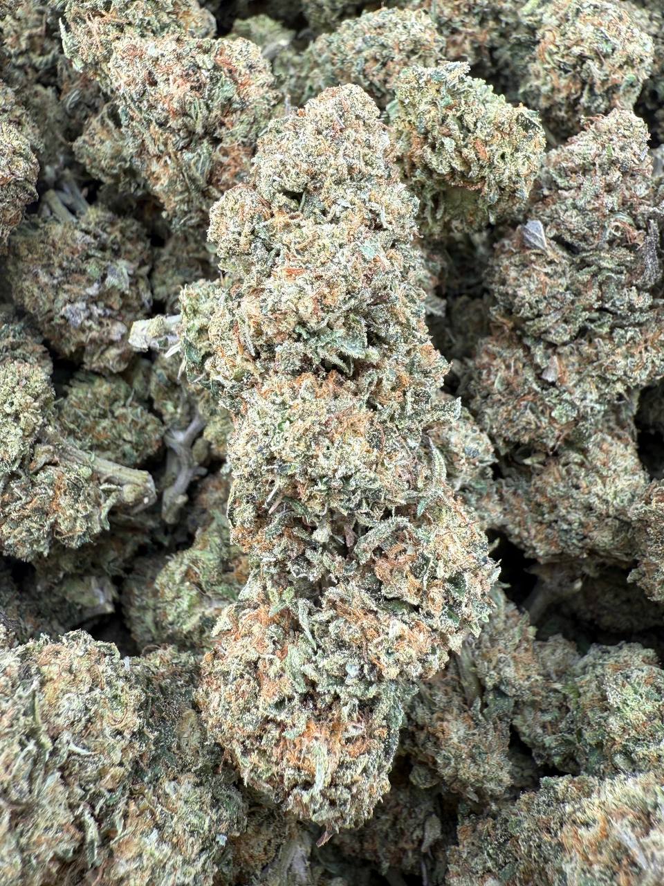SWEET TOOTH - Barewoods