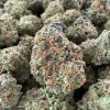 VANILLA FROST GELATO