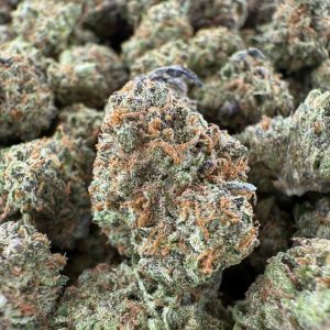 VANILLA FROST GELATO - Barewoods