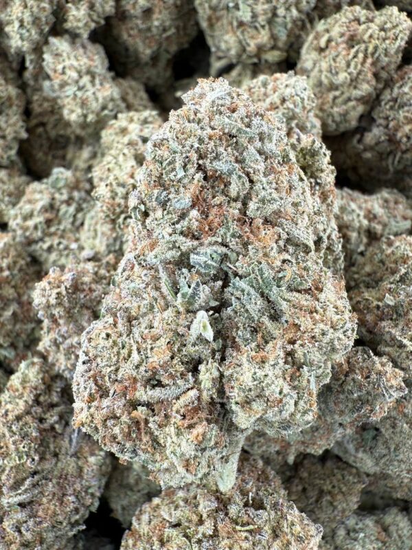 WHITE CHOCOLATE - Barewoods