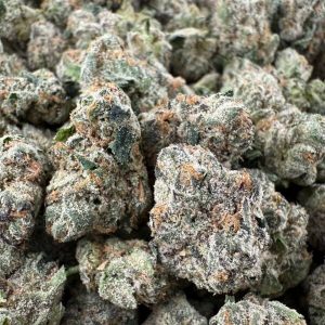 WHITE HIMALAYA MEDIUM - Barewoods
