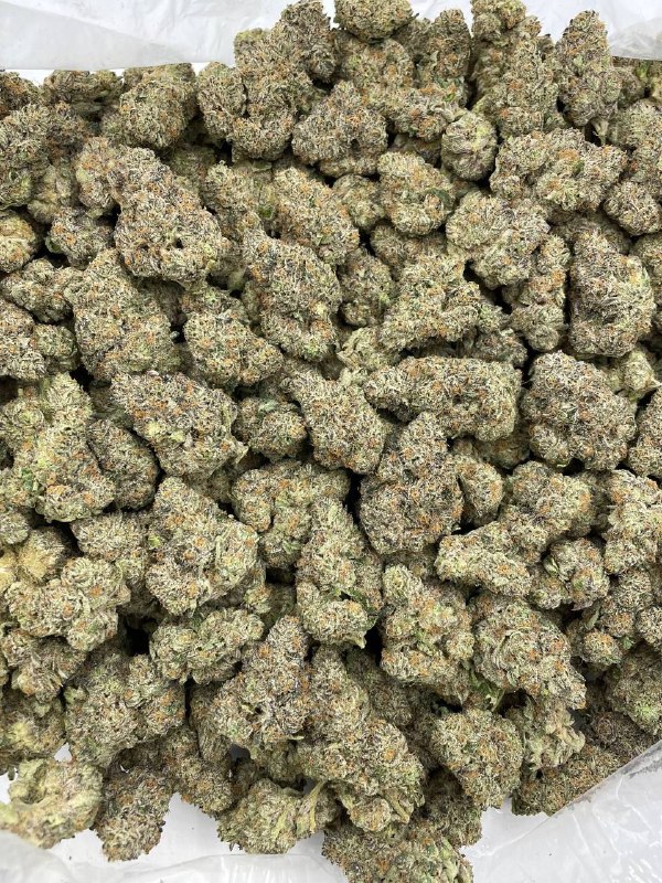 Uncle Snoop - Barewoods