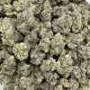 LA Pop Rocks
