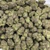 Gucci OG