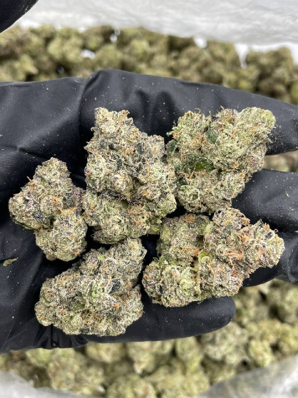 Hexo Fire OG - Barewoods