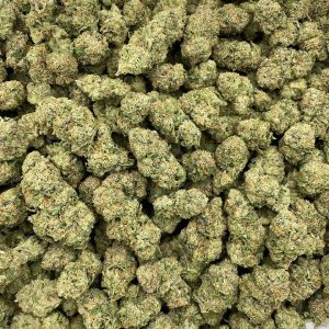 Black Forty - Barewoods