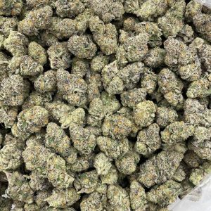 Platinum GG4 - Barewoods