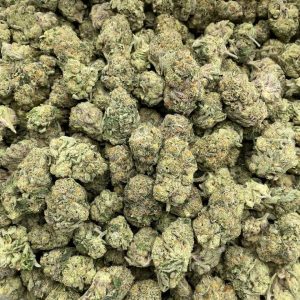 Angel Stardust - Barewoods