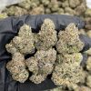 Orange Cookies
