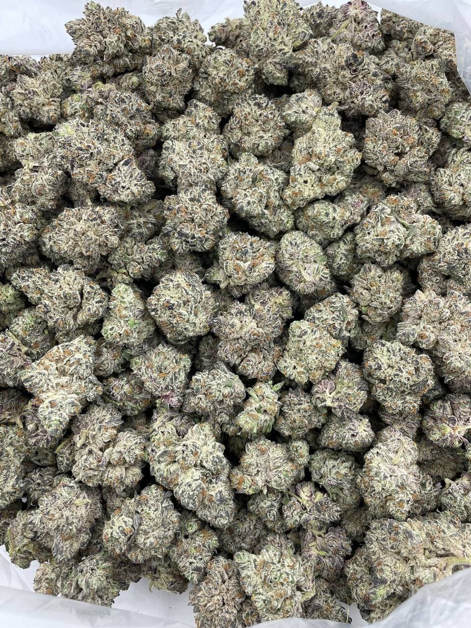 Platinum Cherries - Barewoods
