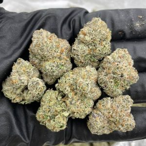 Purple Lavender - Barewoods