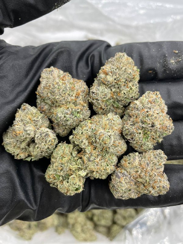 Purple Lavender - Barewoods