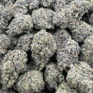 Biscotti – Hybrid - Barewoods image 2